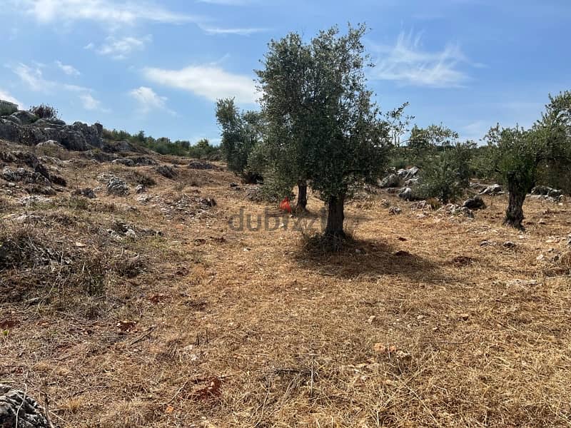 Residential land for sale Amioun 6