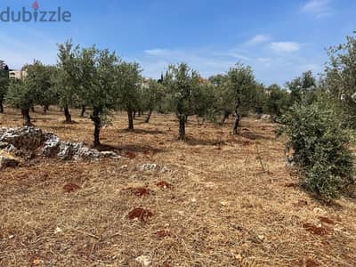 Residential land for sale Amioun