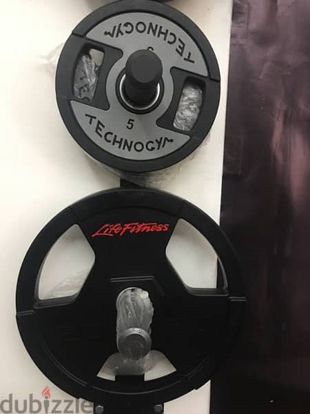 Life fitness best sale olympic plates