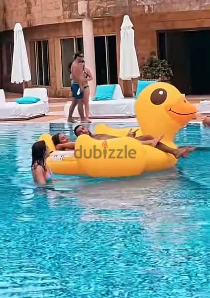inflatable duck float 6 years 2