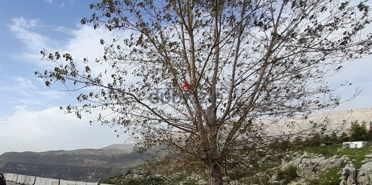738 m2 land having an open mountain view for sale in Zaarour 2