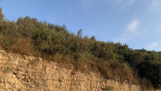 RWB164MT - Land for sale in Blat JBEIL ارض للبيع في بلاط جبيل