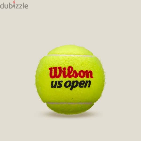 US OPEN Extra Duty 3 Ball Can 1