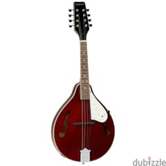 Tanglewood TWM-T-WR Mandolin 0