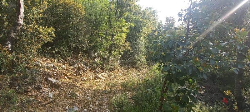 Land in Chabtine - Prime location 1