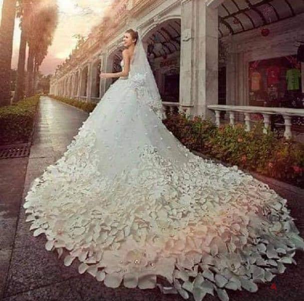 3 new wedding dresses and 6 other dresses for sale 1