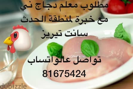 معلم دجاج