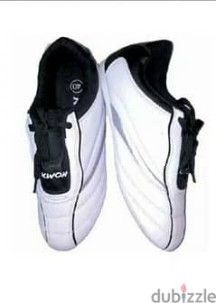 Taekwondo shoes spiritt oo (kwon brand approved)