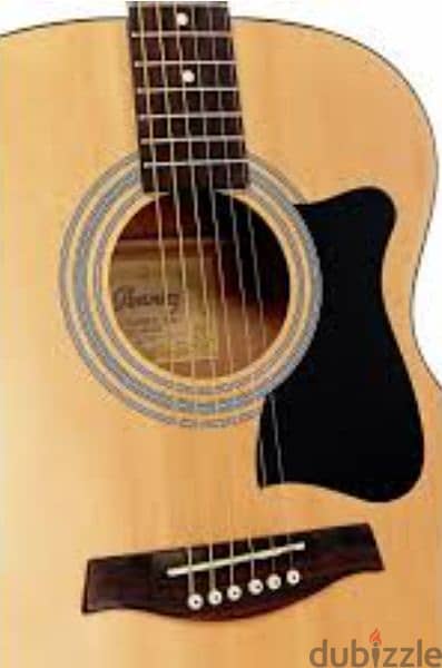 ibanez V50NJP-OPN  NAT- Acoustic Guitar 1