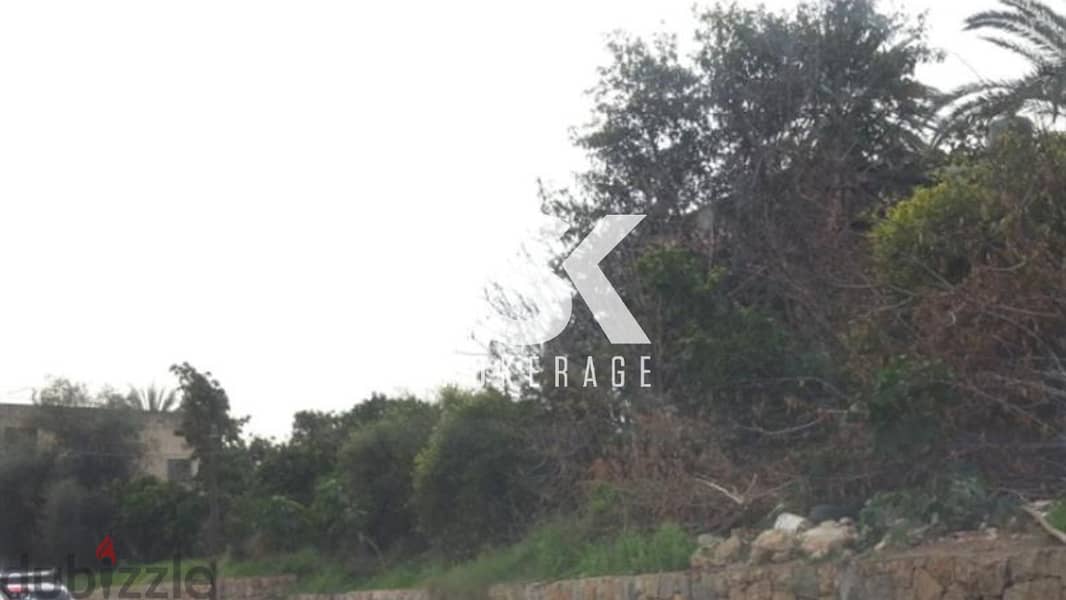 L01355-Commercial Land With Old House For Rent In Naccache 0