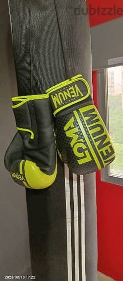 Loma Venum Gloves