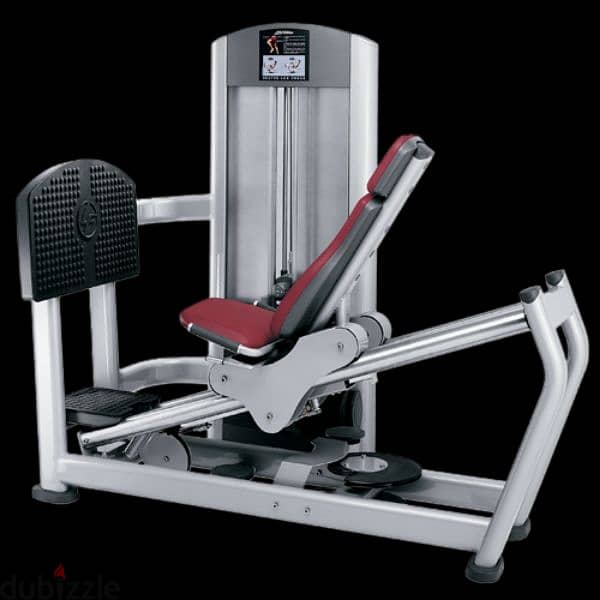 life fitness leg press 1