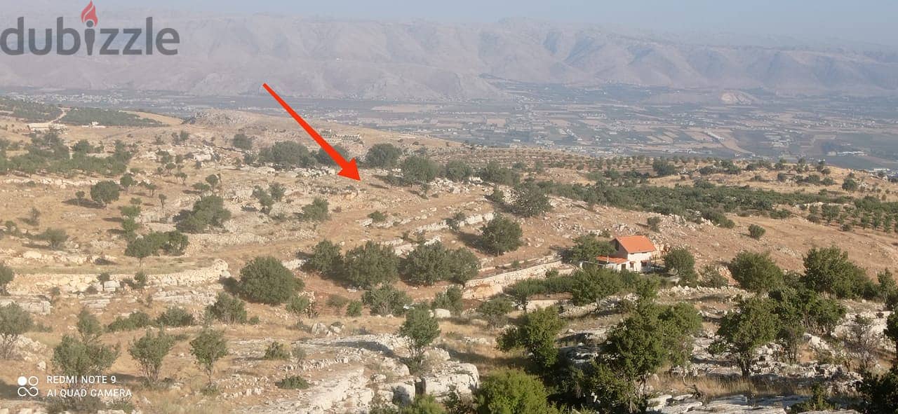 Land for sale in qaa er rim Zahle-أرض للبيع في قاع الريم زحلة 1