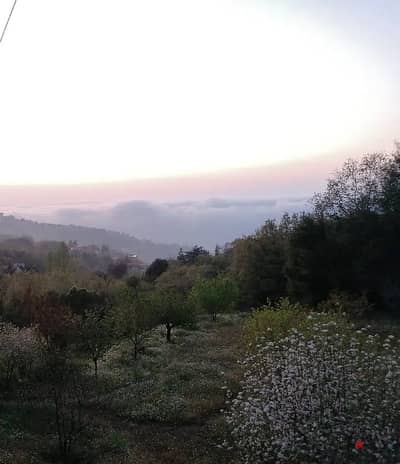 Bikfaya