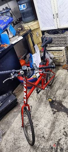 giant road bike olx