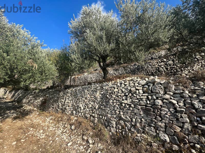 7221 m2 land+open mountain/sea view for sale in Bentael/Jbeil 3
