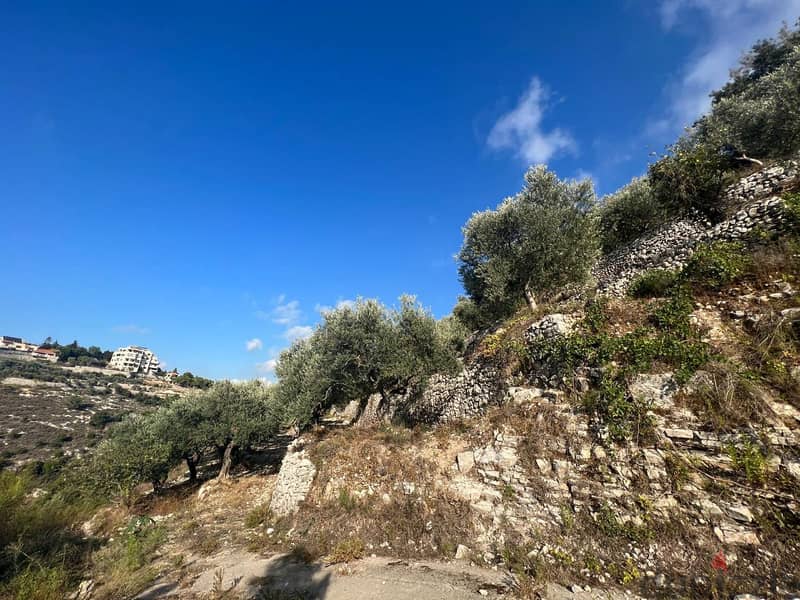 7221 m2 land+open mountain/sea view for sale in Bentael/Jbeil 5