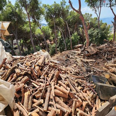 Firewood for chimney حطب سنديان و صنوبر