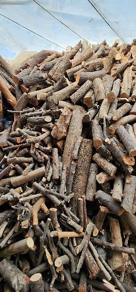 Firewood for chimney حطب سنديان و صنوبر 2