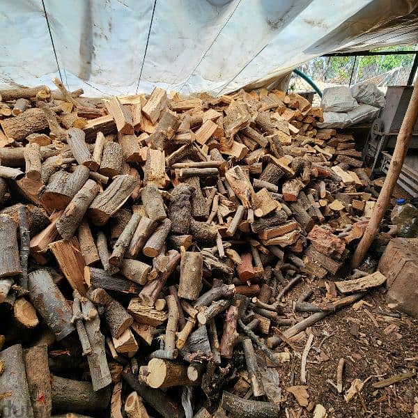 Firewood for chimney حطب سنديان و صنوبر 3