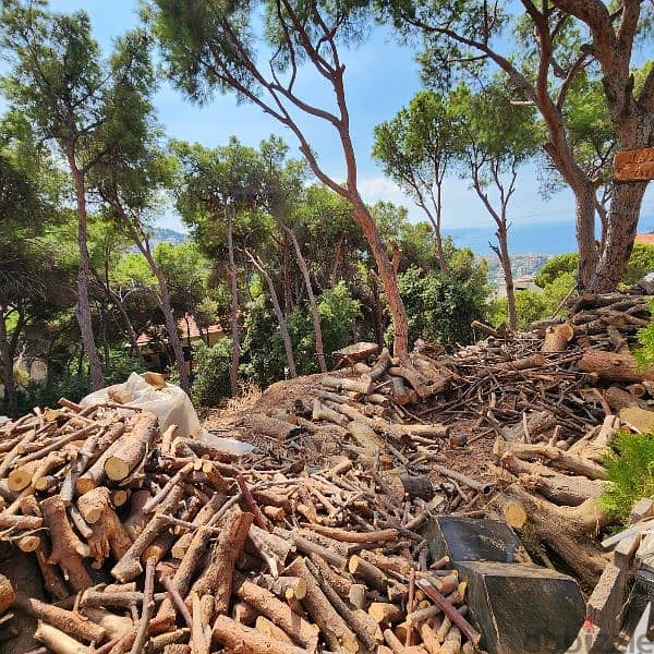 Firewood for chimney حطب سنديان و صنوبر 5