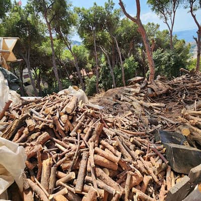 Firewood for chimney  حطب سنديان و صنوبر