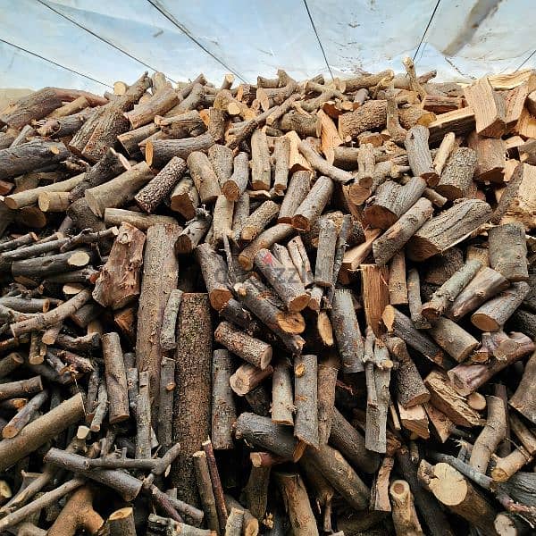 Firewood for chimney  حطب سنديان و صنوبر 4