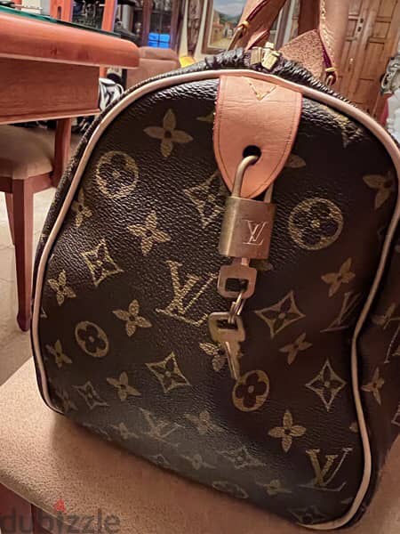 Louis Vuitton lv speedy 30 bandouliere with cats and dogs printing