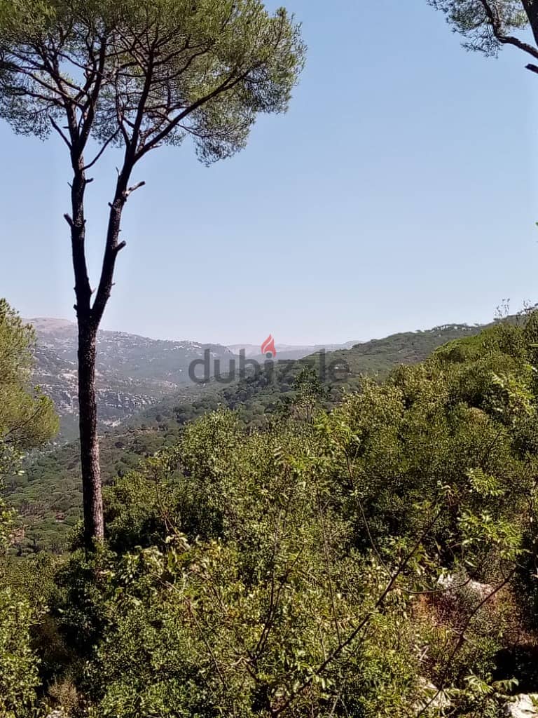 6320 sqm Land For Sale In Salima ( Dleibeh ) , Mountain View 1