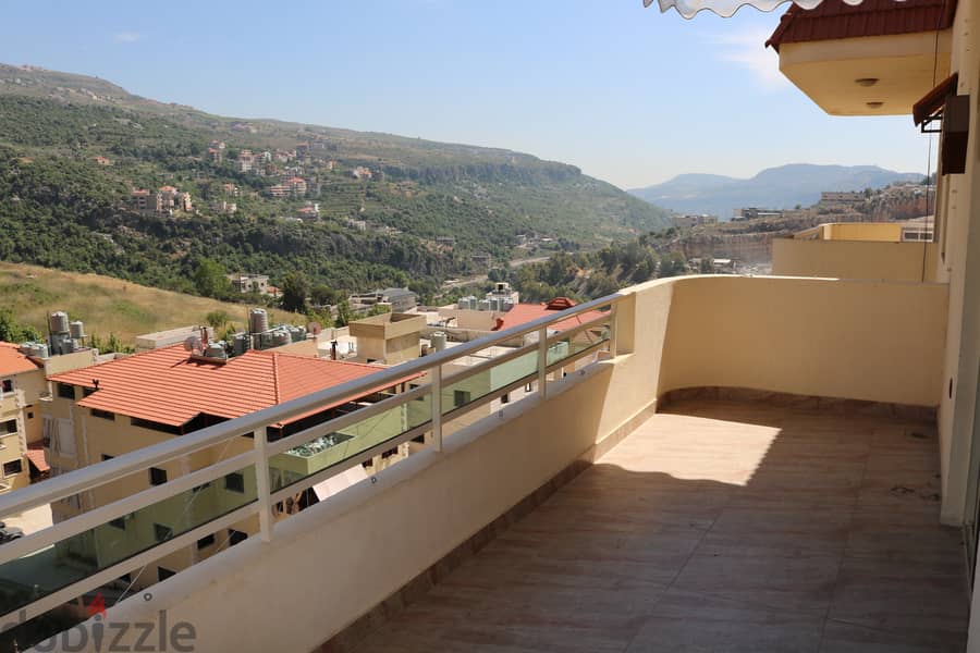 Decorated apartment for Rent (Aley) 1