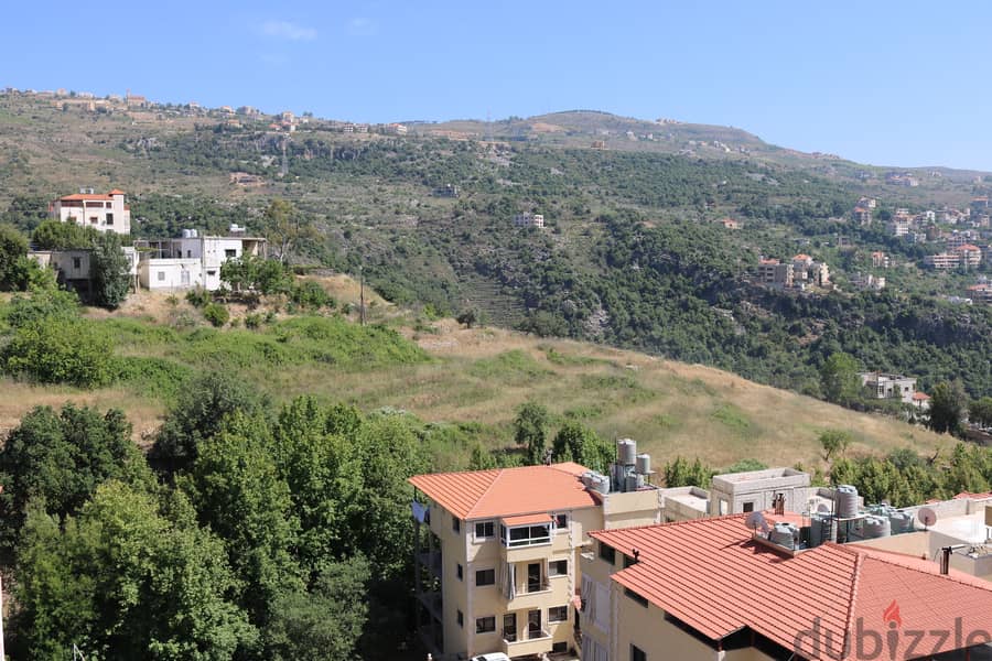 Decorated apartment for Rent (Aley) 2