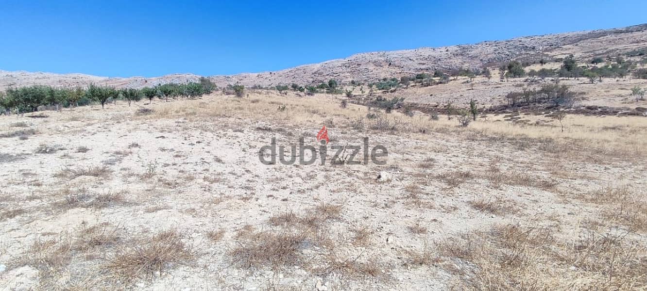 6300 Sqm | Agriculture Land for sale in Rachaya 1