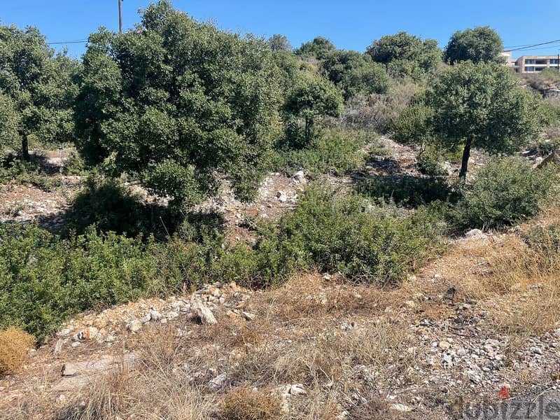 RWB240A - Land for Sale in Batroun ارض للبيع في البترون 3