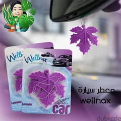 Car Air freshener