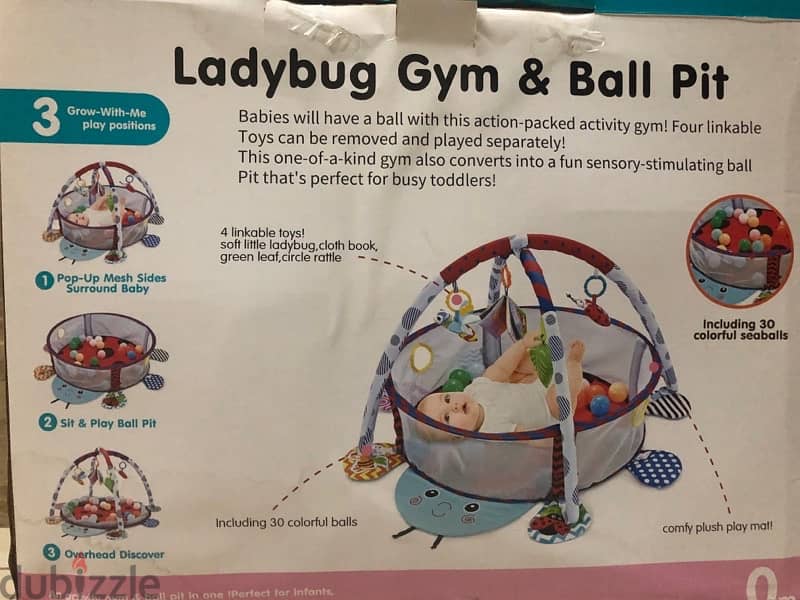 ladybug  gym and ball tip 0