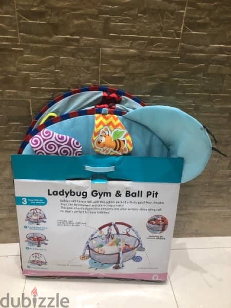 ladybug  gym and ball tip 1