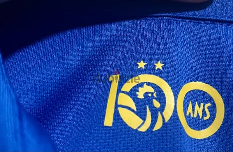 france pogba 6  world champion 2018 anniversary nike jersey 5