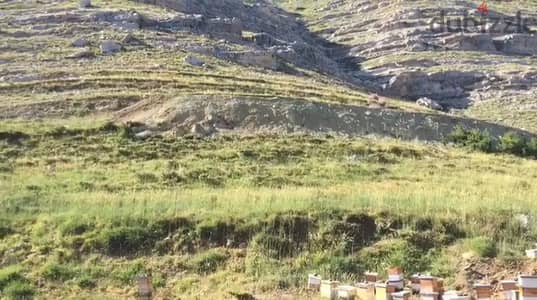 3282 Sqm | Land for sale in Tannourine | Mountain view